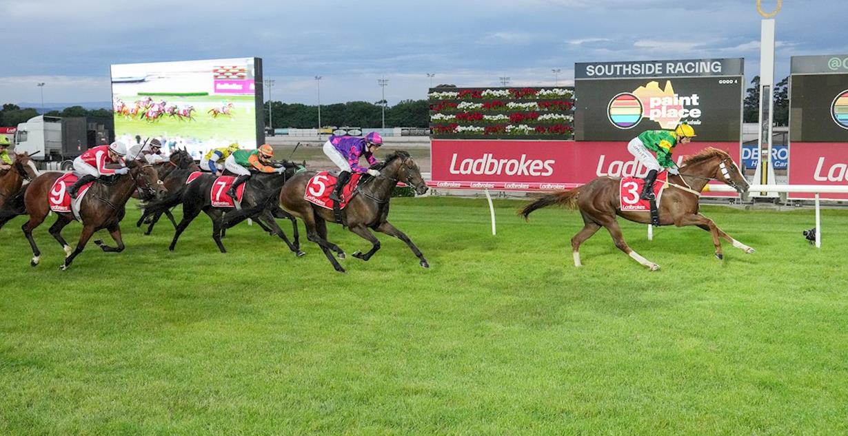 Regal Tycoon - Cranbourne 19th December 2025